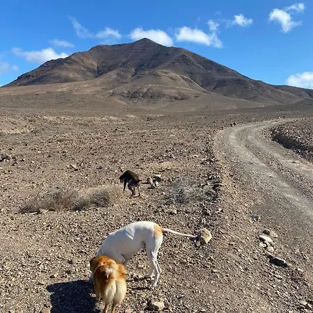 Casa Paca - Your Private Oasis In Lanzarote - Paradise By The Sea * Playa Blanca (Lanzarote)