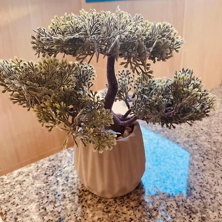 Casa Paca - Your Private Oasis In Lanzarote - Paradise By The Sea