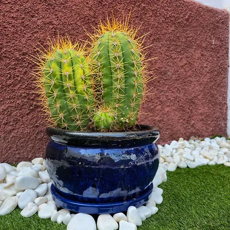 Casa vacanze Casa Paca - Your Private Oasis In Lanzarote - Paradise By The Sea Playa Blanca (Lanzarote)