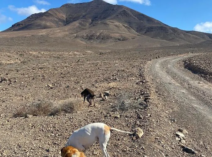 Casa Paca - Your Private Oasis In Lanzarote - Paradise By The Sea * Playa Blanca (Lanzarote)