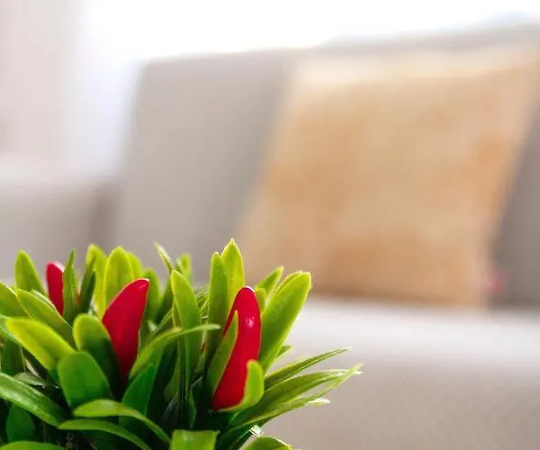 Ferienhaus Casa Paca - Your Private Oasis In Lanzarote - Paradise By The Sea Playa Blanca (Lanzarote)