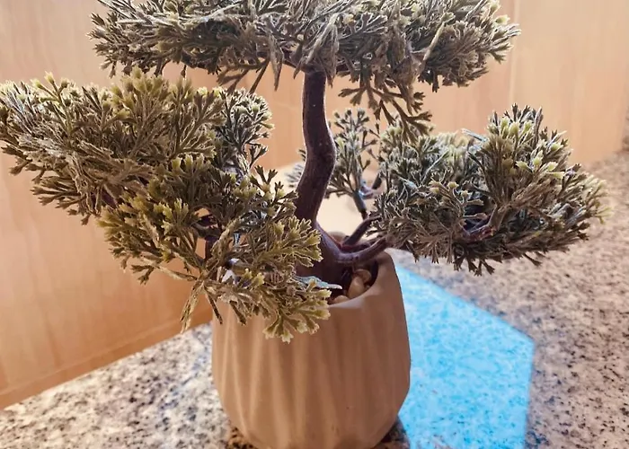 Casa Paca - Your Private Oasis In Lanzarote - Paradise By The Sea