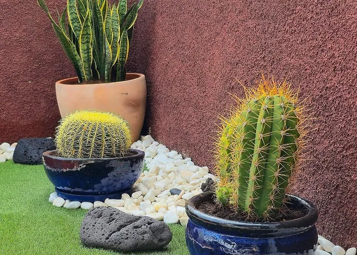 Casa Paca - Your Private Oasis In Lanzarote - Paradise By The Sea Playa Blanca (Lanzarote)