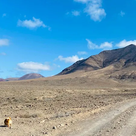 Casa Paca - Your Private Oasis In Lanzarote - Paradise By The Sea