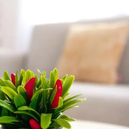 Ferienhaus Casa Paca - Your Private Oasis In Lanzarote - Paradise By The Sea Playa Blanca (Lanzarote)