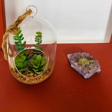 Casa Paca - Your Private Oasis In Lanzarote - Paradise By The Sea * Playa Blanca (Lanzarote)