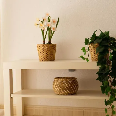 Casa Paca - Your Private Oasis In Lanzarote - Paradise By The Sea