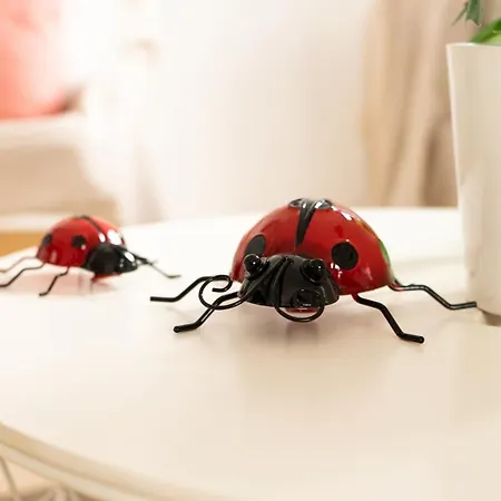 Casa Paca - Your Private Oasis In Lanzarote - Paradise By The Sea