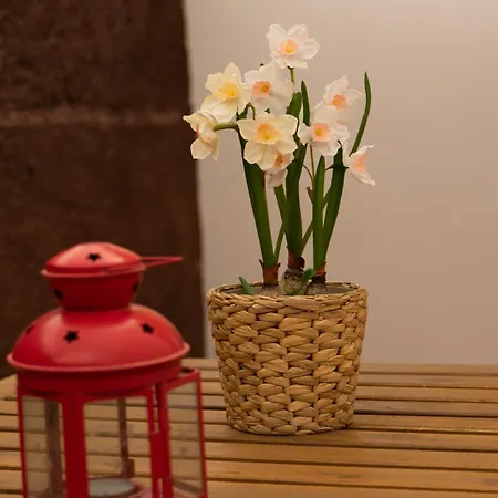 Casa Paca - Your Private Oasis In Lanzarote - Paradise By The Sea Ferienhaus