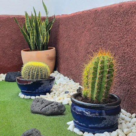 Casa Paca - Your Private Oasis In Lanzarote - Paradise By The Sea 普拉亚布兰卡