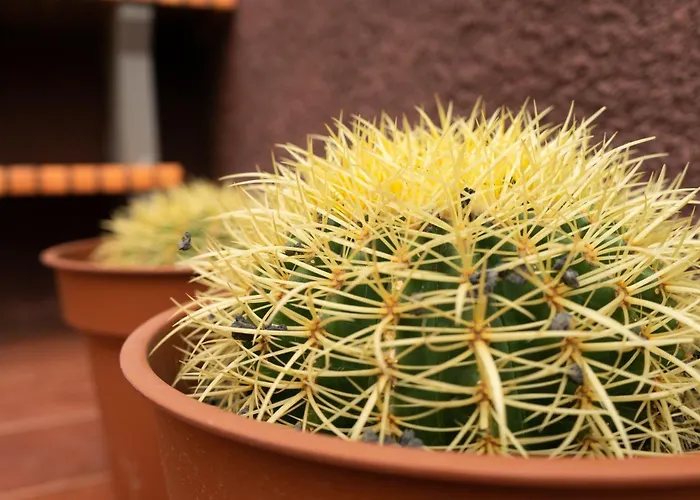 Dom wakacyjny Casa Paca - Your Private Oasis In Lanzarote - Paradise By The Sea Playa Blanca (Lanzarote)