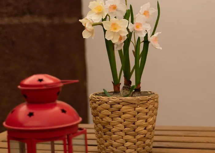 Casa Paca - Your Private Oasis In Lanzarote - Paradise By The Sea Dom wakacyjny