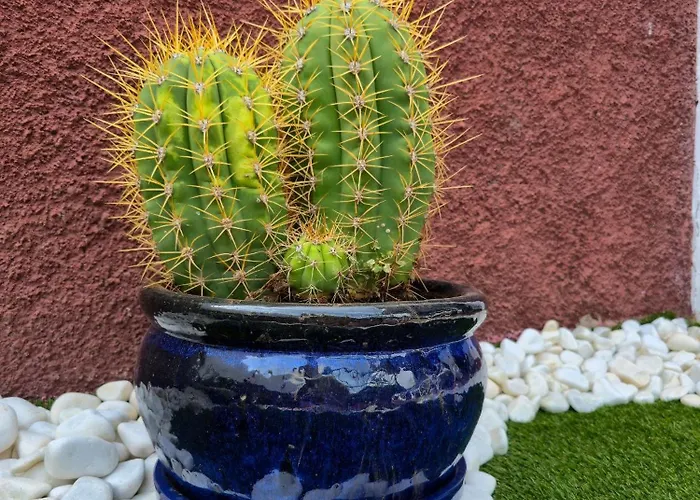 Semesterbostad Casa Paca - Your Private Oasis In Lanzarote - Paradise By The Sea Playa Blanca (Lanzarote)